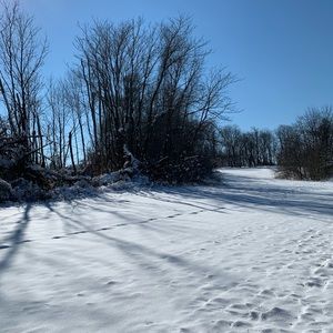 Meet your Posher, Tanya